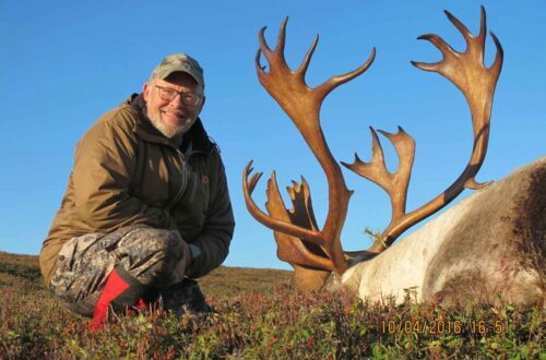 Newfoundland Caribou Hunt