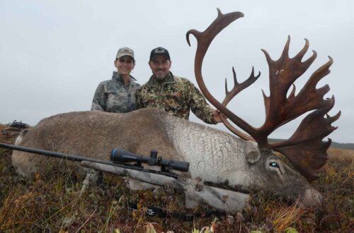 Newfoundland Caribou Hunting