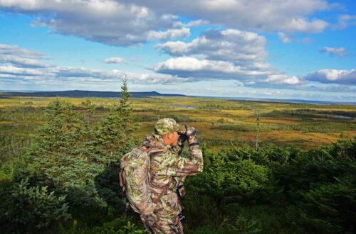 Newfoundland Hunting Outfitters