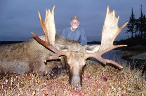 Newfoundland Moose Hunt