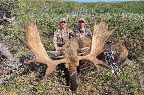 effords-hunting-newfoundland-outfitter-nl-14