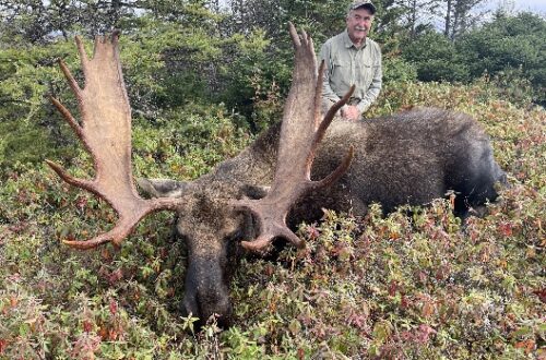 effords-hunting-newfoundland-outfitter-nl-25