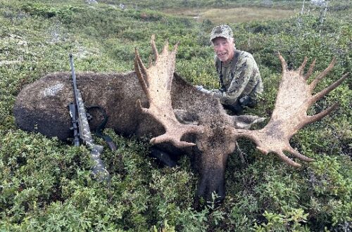 effords-hunting-newfoundland-outfitter-nl-3