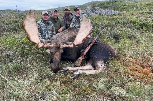 effords-hunting-newfoundland-outfitter-nl-32