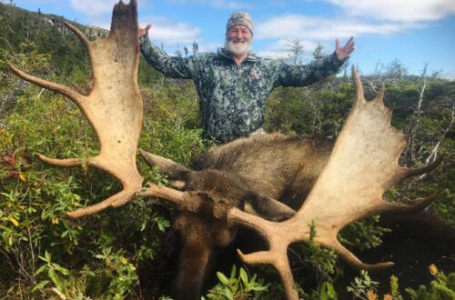 effords-hunting-newfoundland-outfitter-nl-41