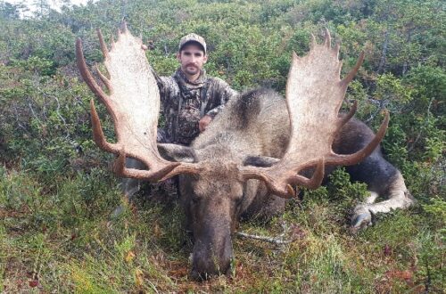 effords-hunting-newfoundland-outfitter-nl-43