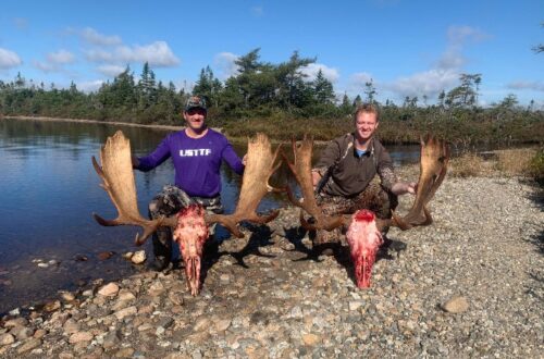 effords-hunting-newfoundland-outfitter-nl-8