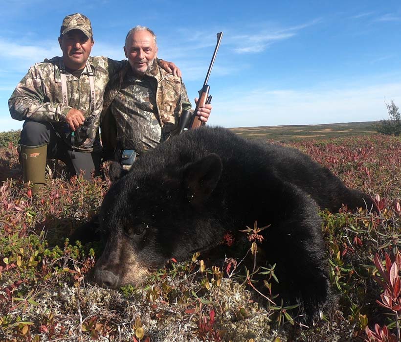 Newfoundland Bear Hunts
