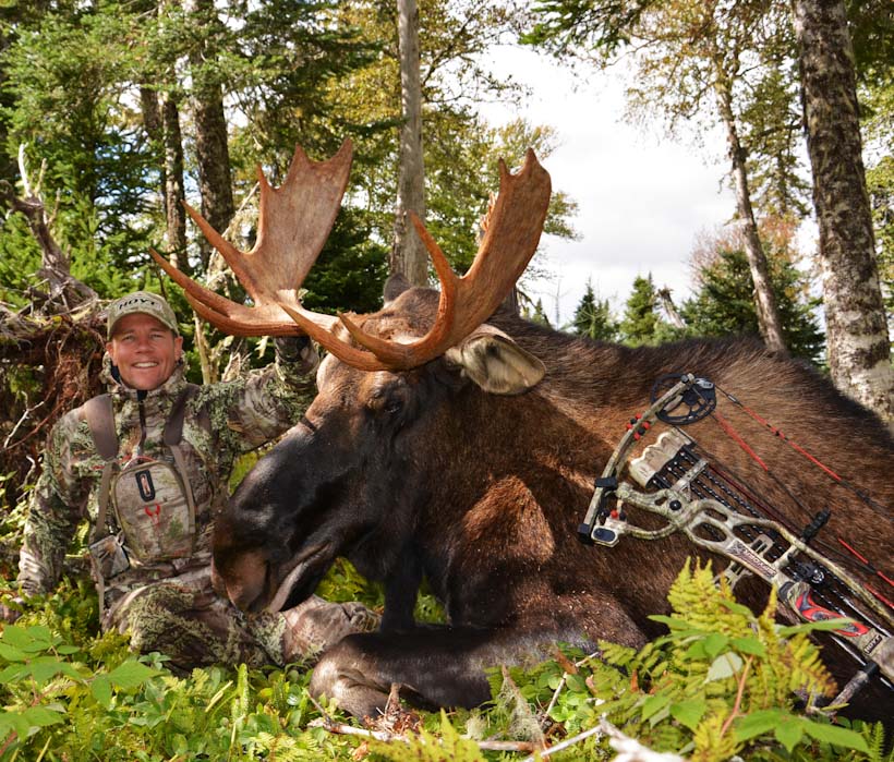 Newfoundland Moose Hunting